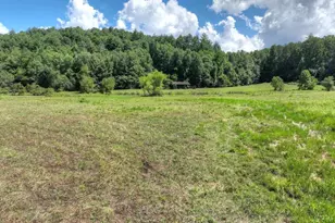 28 Ac Jolley Way, Epworth, GA 30541 - Photo 51