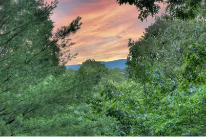 97 Doyle Carder Parkway, Cherrylog, GA 30522 - Photo 27