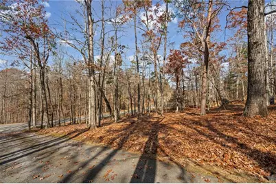 212 Cothran Road, Dawsonville, GA 30534 - Photo 39