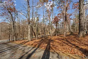 212 Cothran Rd, Dawsonville, GA 30534 - Photo 39