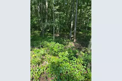 00 Fears Road, Madison, GA 30650 - Photo 13