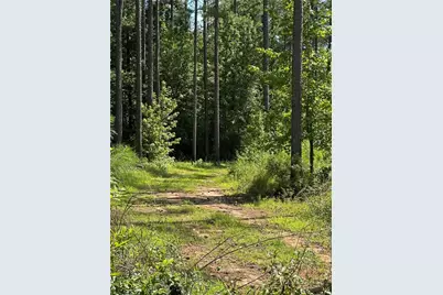 00 Fears Road, Madison, GA 30650 - Photo 29