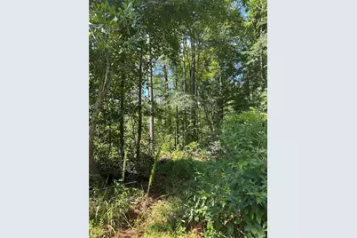 00 Fears Road, Madison, GA 30650 - Photo 11