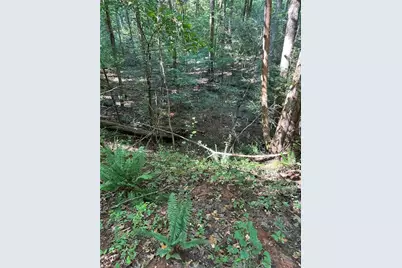 00 Fears Road, Madison, GA 30650 - Photo 3