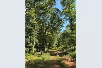 00 Fears Road, Madison, GA 30650 - Photo 1