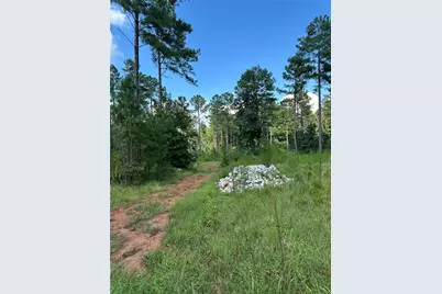 00 Fears Road, Madison, GA 30650 - Photo 5