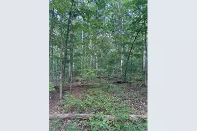 0 Fears Road, Madison, GA 30650 - Photo 9