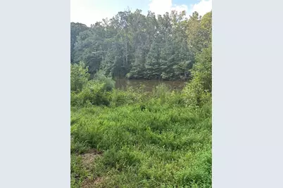 0 Fears Road, Madison, GA 30650 - Photo 3