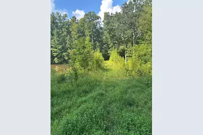 0 Fears Road, Madison, GA 30650 - Photo 11