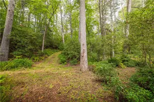 27 Riverview Ln, Cherrylog, GA 30522 - Photo 59