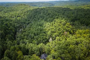 27 Riverview Ln, Cherrylog, GA 30522 - Photo 61