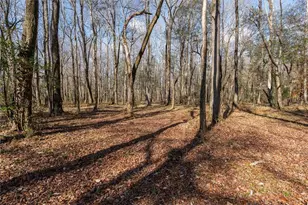 1585 Hays Mill Rd, Carrollton, GA 30117 - Photo 21