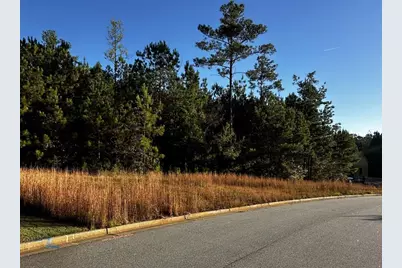 Lot 65 Green Terrace, Newnan, GA 30265 - Photo 1