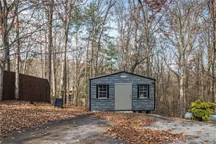 323 McCartan Trl, Clarkesville, GA 30523 - Photo 53