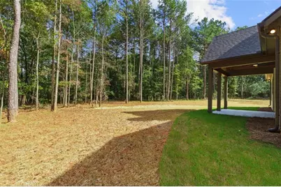 106 Maple Valley Drive, Jenkinsburg, GA 30234 - Photo 45