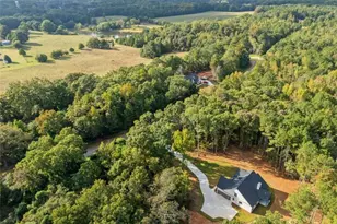 106 Maple Valley Dr, Jenkinsburg, GA 30234 - Photo 55