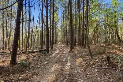 000 Lower Dowda Mill Road, Jasper, GA 30143 - Photo 7