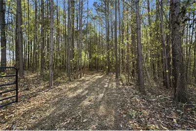 000 Lower Dowda Mill Road, Jasper, GA 30143 - Photo 19