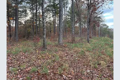 447 Woodward Way, Talking Rock, GA 30175 - Photo 3