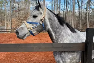 6600 Cascade Palmetto Hwy, Fairburn, GA 30213 - Photo 111