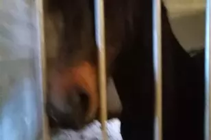 6600 Cascade Palmetto Hwy, Fairburn, GA 30213 - Photo 67