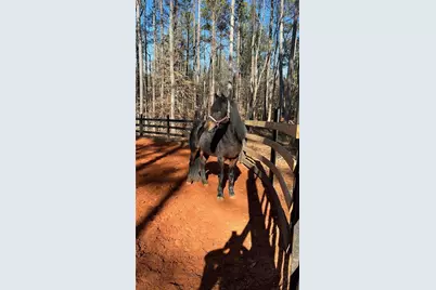 6600 Cascade-Palmetto Highway, Fairburn, GA 30213 - Photo 119