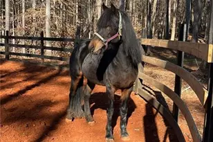 6600 Cascade Palmetto Hwy, Fairburn, GA 30213 - Photo 119