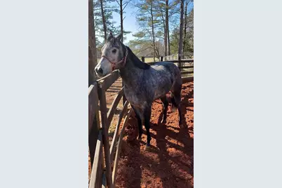 6600 Cascade-Palmetto Highway, Fairburn, GA 30213 - Photo 117