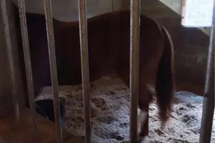 6600 Cascade Palmetto Hwy, Fairburn, GA 30213 - Photo 65