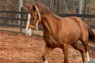 6600 Cascade Palmetto Hwy, Fairburn, GA 30213 - Photo 109