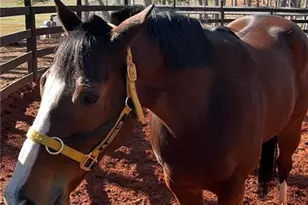 6600 Cascade Palmetto Hwy, Fairburn, GA 30213 - Photo 115