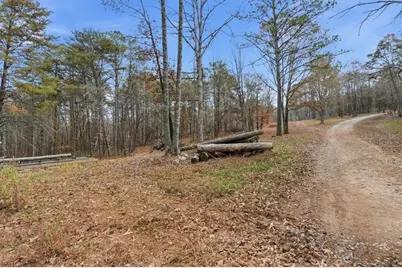 744 Moores Gin Road, Fairmount, GA 30139 - Photo 75