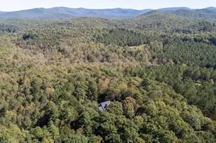 2091 Southern Rd, Ellijay, GA 30536 - Photo 49