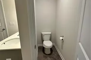 115 Buckingham Ln, Hoschton, GA 30548 - Photo 17