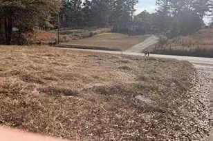 201 Tidwell Rd, Alpharetta, GA 30004 - Photo 17