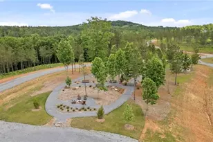 2468 Twisted Oak Rd, Talking Rock, GA 30175 - Photo 87