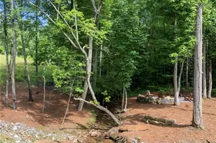 2468 Twisted Oak Rd, Talking Rock, GA 30175 - Photo 79