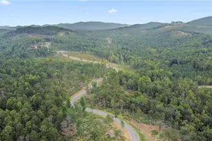 2468 Twisted Oak Rd, Talking Rock, GA 30175 - Photo 67