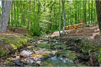 2468 Twisted Oak Road, Talking Rock, GA 30175 - Photo 85