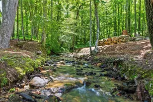 2468 Twisted Oak Rd, Talking Rock, GA 30175 - Photo 85