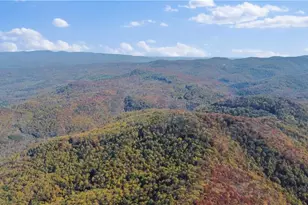 2468 Twisted Oak Rd, Talking Rock, GA 30175 - Photo 69