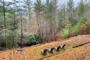 89 N Whitepath Cir, Ellijay, GA 30540 - Photo 37