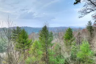 89 N Whitepath Cir, Ellijay, GA 30540 - Photo 5