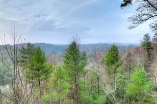 89 N Whitepath Cir, Ellijay, GA 30540 - Photo 3