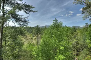 89 N Whitepath Cir, Ellijay, GA 30540 - Photo 37