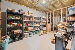 259 Whitaker Way, Hoschton, GA 30548 - Photo 45