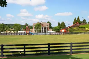 96 Treadstone Ln, Dallas, GA 30132 - Photo 45