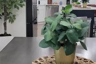 987 Fair St SW, Atlanta, GA 30314 - Photo 33