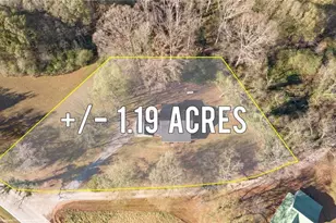 33 Andrews Rd, Carnesville, GA 30521 - Photo 31