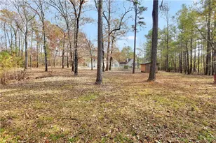 165 Riverbrooke Terrace, Covington, GA 30016 - Photo 51